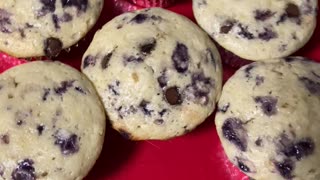 Blueberry Chocolate Chip Muffins!