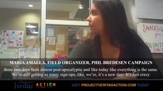 New O'Keefe undercover video features Democrat Phil Bredesen’s Senate campaign staff