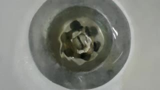 Flushing the sink with a vortex