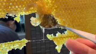 Beeswax Served