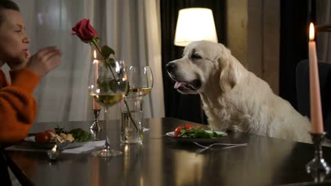 Charming woman drinking white wine giving thanks to labrador retriever dog