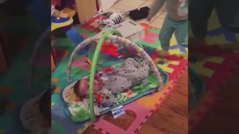 Funny babies fail videos - best funny video compilation
