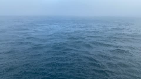 Wild Ocean Time Lapse