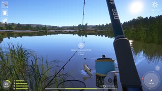 Russian Fishing 4 Sura River Wild Carp 7.989 Kg