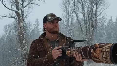 Filming wildlife in the first snowstorm of the yea