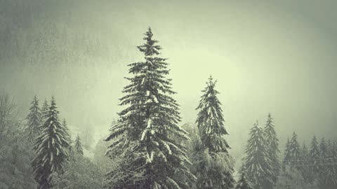 Snowfall Serenity: Trees in a Winter Wonderland| snowfall (piano)