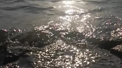 Water splash video