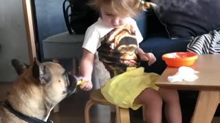 Charming Little Girl Shares Yummy Breakfast With Her Doggy