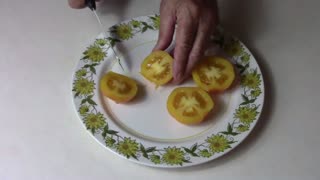 Tasting Haley's Rainbow Variegated Tomato