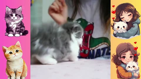 cute cat, baby cat, kitten, lovely kitten, cat walk, funny cat, funny kitten,