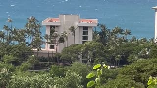 Submarine Spotted Off the Coast in Hawaii