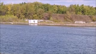 Whole flock of Canadian Geese in slow-mo