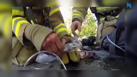 People saving Animal lives | Real life heroes