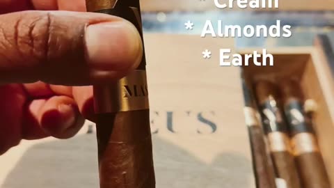 Luciano Cigars Mas Igneus 6x52 Toro #Shorts #Cigars #Short #Cigar #CigarOfTheDay