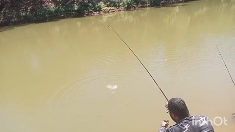 Pescaria em rio do brasil curimbas bonitas fisgadas sensacionais