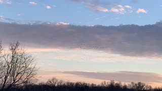 Western KY Sunset