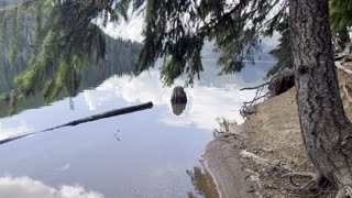 Kachess Lake Shoreline – Okanogan-Wenatchee – Washington – 4K