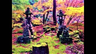 Autumn in Japan