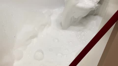 Unwanted Bubbles in the Bathroom