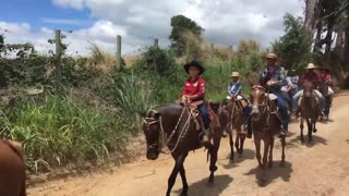 Real American cowboys ride horses on the road