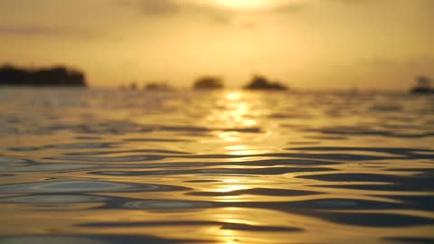 Amazing Sunset Reflecting Off Sea at Dusk