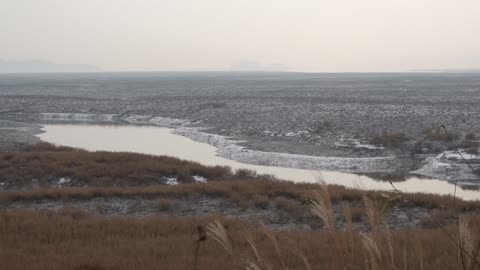 Mudflats and fine dust in cold weather