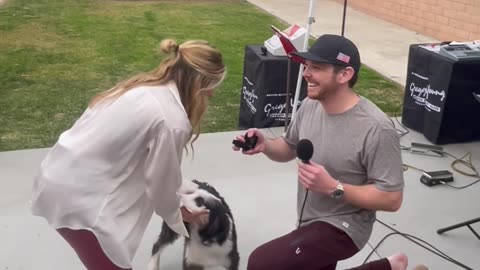 Dog Accepts Engagement Ring Before Girlfriend