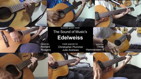 Guitar Learning Journey: The Sound of Music's "Edelweiss" cover - vocals