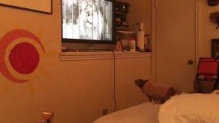 Jaelea watching lion on tv