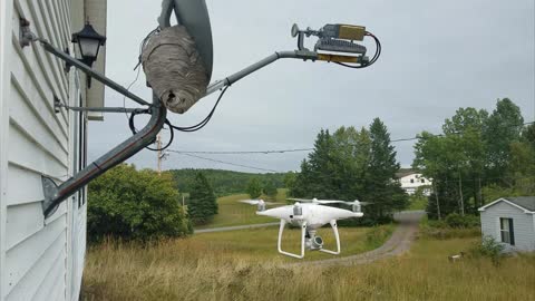 A Si-Fi Attack On A Hornets Nest By A Drone