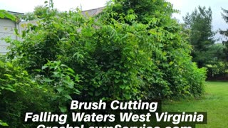 Brush Cutting Falling Waters West Virginia Landscape Company