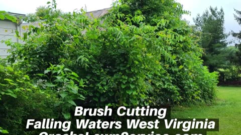 Brush Cutting Falling Waters West Virginia Landscape Company