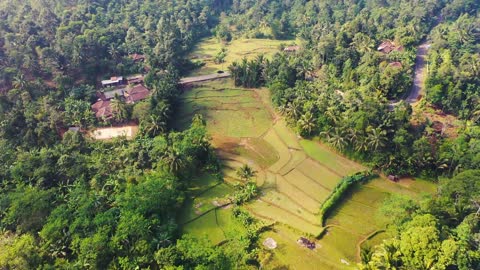 Beautiful mountains with paddy fields and a lots of trees