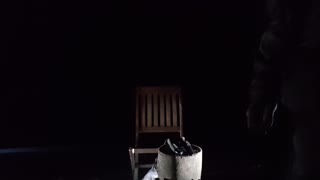 Woodland at night test footage