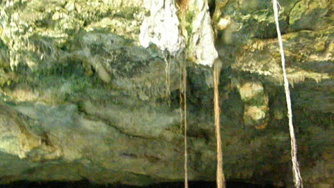 Taj-Mahal Cenote Yucatan