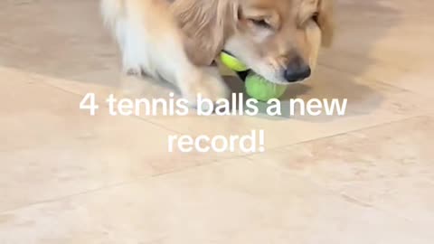 4 Tennis Balls A New 🤣Record!