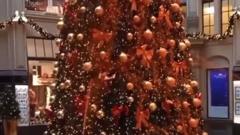 People brainwashed about climate change destroy Christmas tree