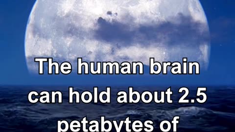 The human brain can hold about 2.5 petabytes of information.