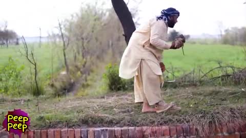 Dogs fighting with man