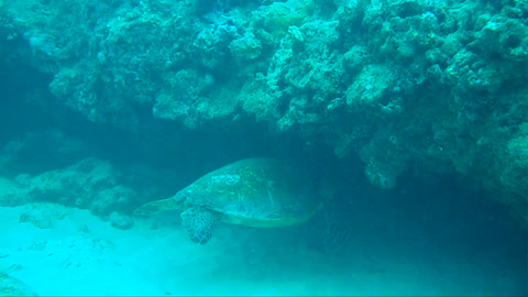 Turtle Canyon Sleeping spot