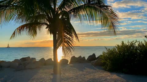 Peaceful Calming Zen Meditation Ocean