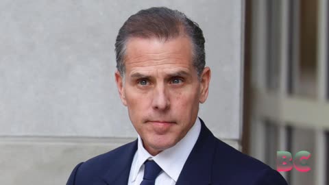 DOJ contends Hunter Biden was hired by Romanian oligarch to ‘influence US policy:’ docs