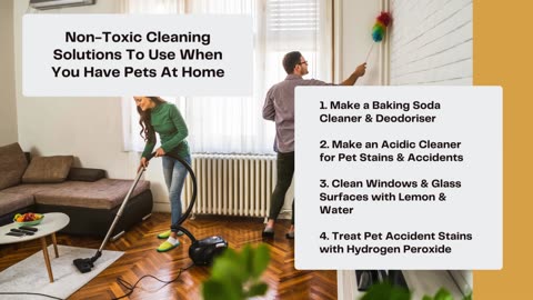 Pet-Safe Cleaning Non-Toxic Solutions For A Clean Home