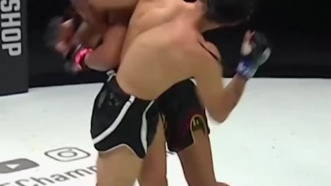 These fighter use the Elbow as their Fist