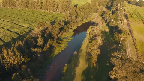 The beauty of nature from a bird's eye view