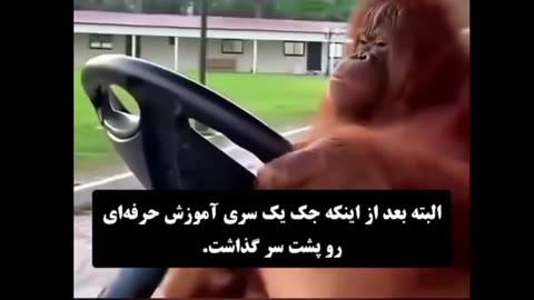 Driver monkey