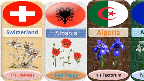National Flower of Different Countries /Top Beautifull Flower of the World /