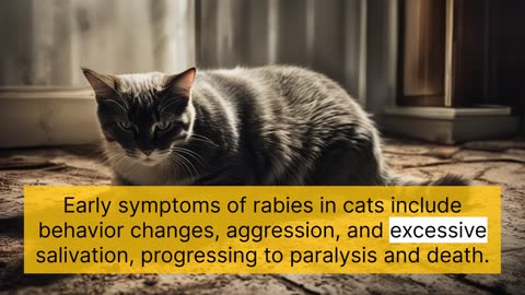 rabies (Cats): Definition, Prevention, and Treatment