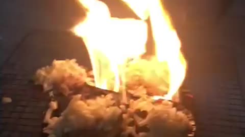 roasting Scallops