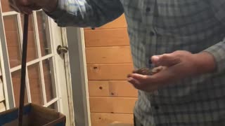 Farmer Dell Cracking Walnuts Video #1